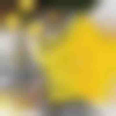 Формички за бисквитки с форма на звезди (6 бр.) | STARCUTS