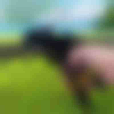 Инструмент за здрави кабелни превръзки | ZIPFLEX